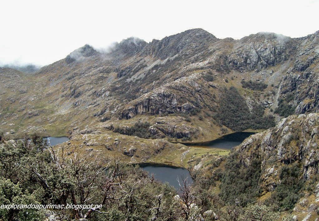 Lagunas arangoni