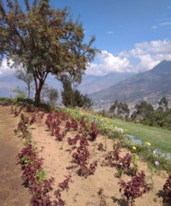 
mirador-abancay